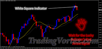 Lucky Reversal Indicator - Sell Example - White Square Alert