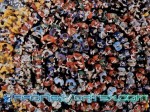 Floored: A Documentary on the Rise and Fall of Chicago Traders Floored Documentary